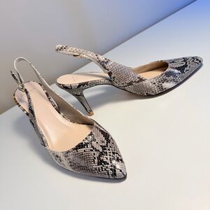 Cole Haan Size 10 Snakeskin Slingback Heels Women’s Shoes $120 EUC Worn Once!